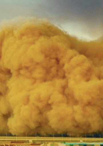 Visuel - Les Tempêtes